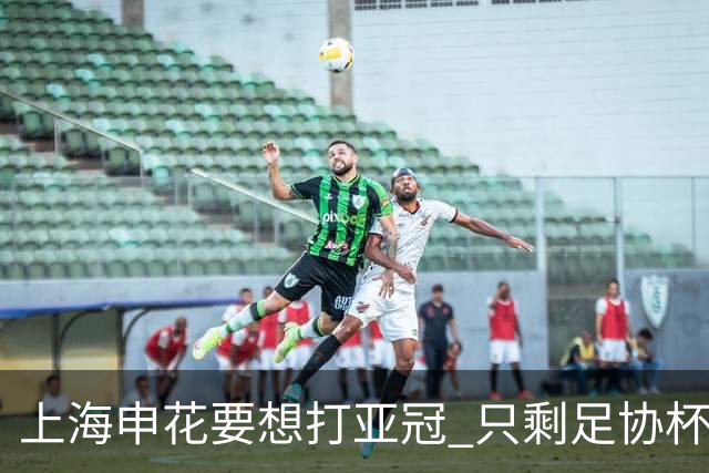 上海申花要想打亚冠 只剩足协杯夺冠一条路