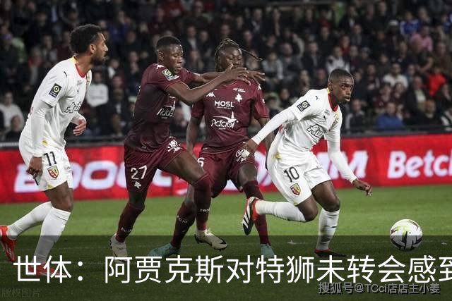 世体：阿贾克斯对特狮未转会感到疑惑，他们不会无期限地等待