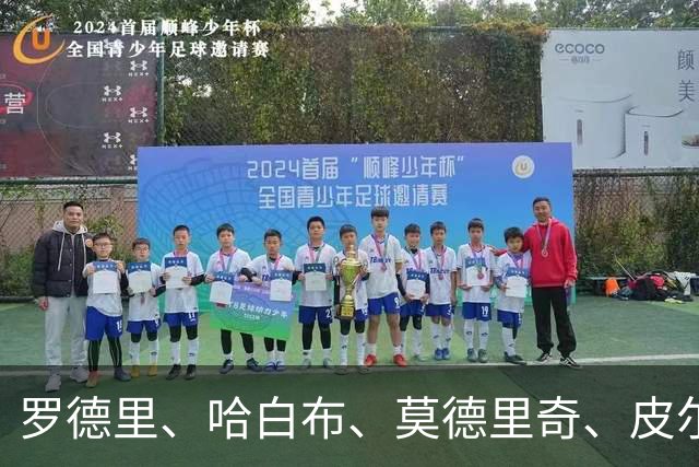 罗德里、哈白布、莫德里奇、皮尔洛们的位置